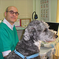 Ιωάννης Γλυνός