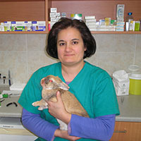 Βιολέττα Τσεντίδη